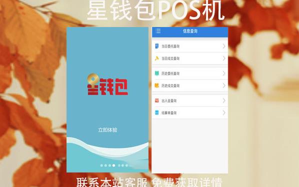 星錢包pos機(jī)安全嗎？和銀錢包POS機(jī)比哪個(gè)好